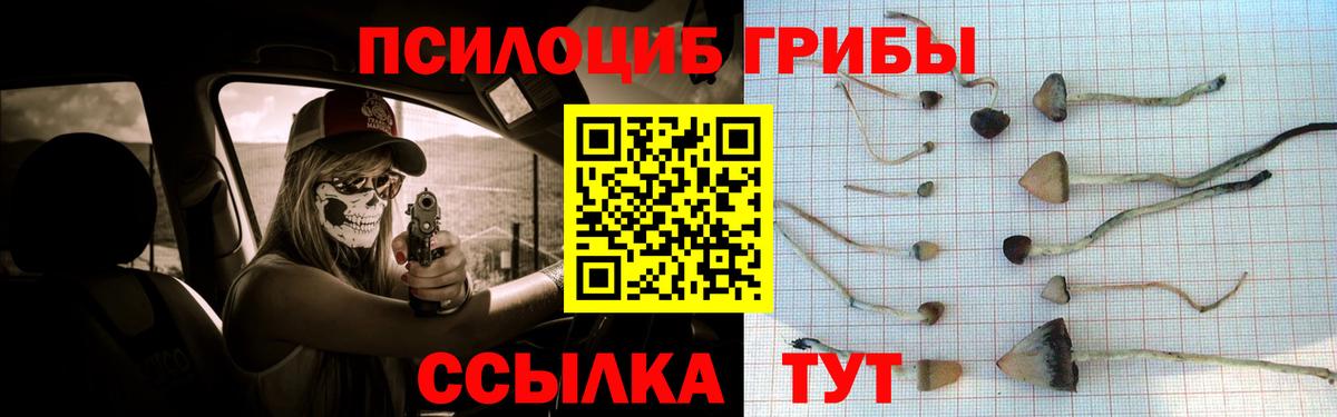 Псилоцибиновые грибы Cubensis  Вход с VPN  Берёзовский 